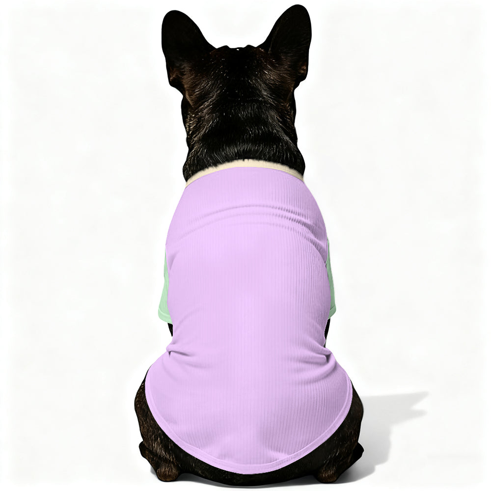 French Bulldog Lolli Wool Sweater For Frenchies Comfy Pet Outfit