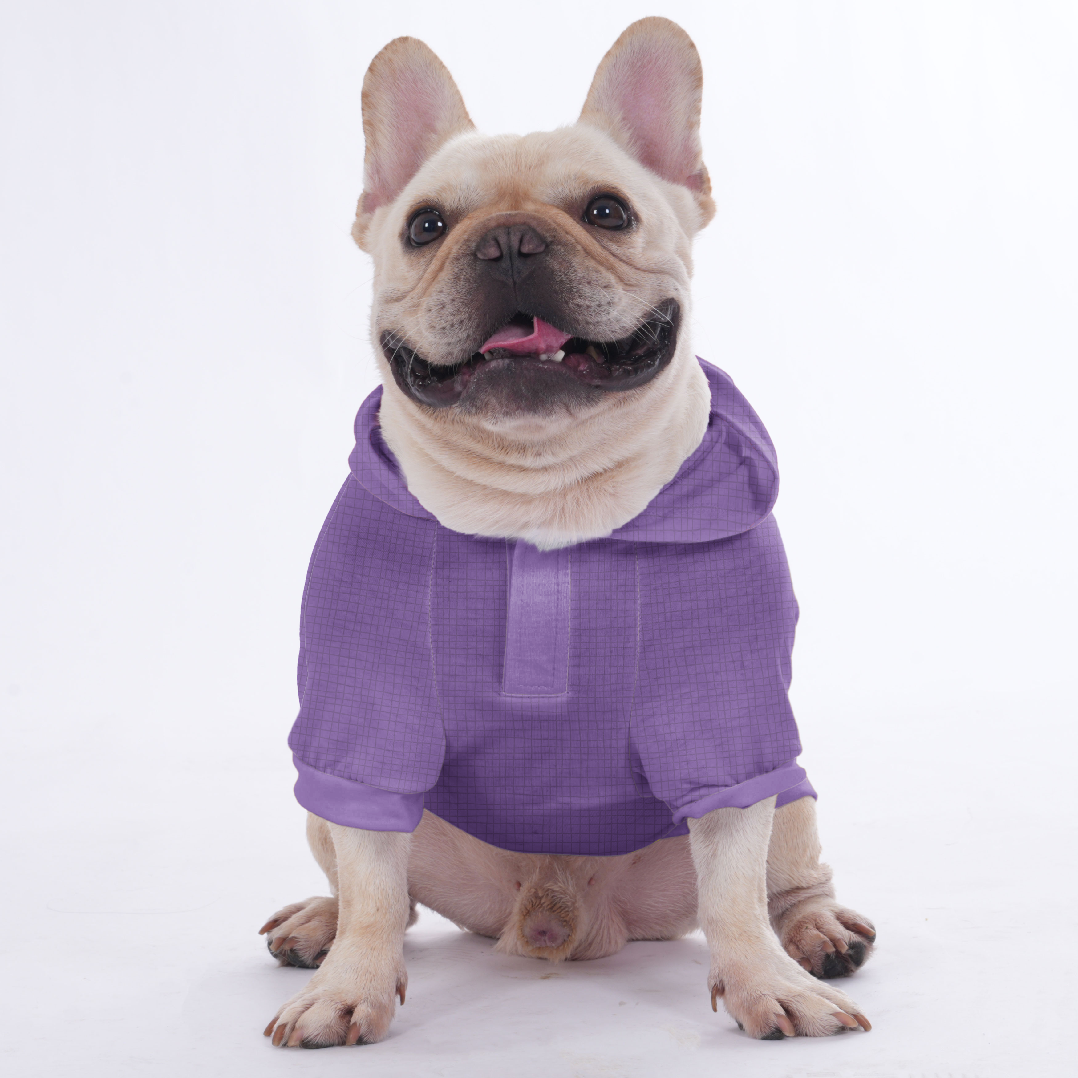 Custom Hoodies for French Bulldogs with the Owner's Name | Frenchie Shop Original