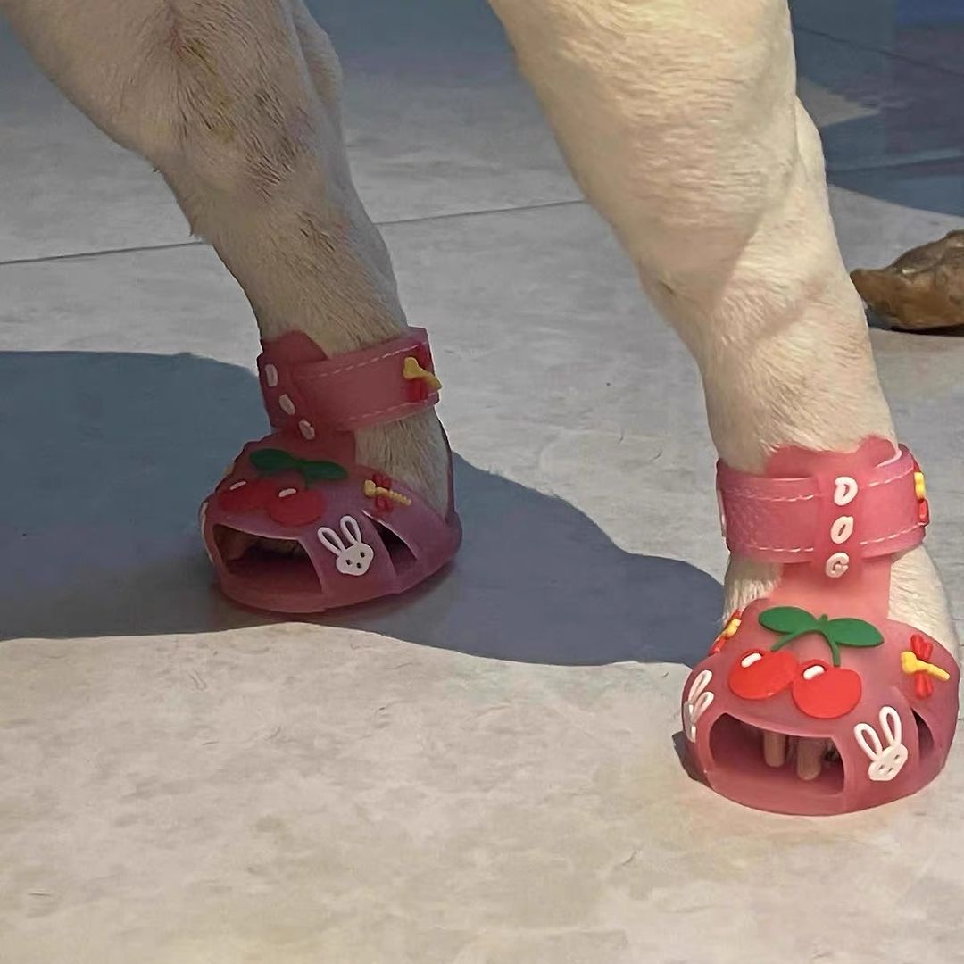 Comfortable Frenchie Paws Protection Sandals for French Bulldog Lovers