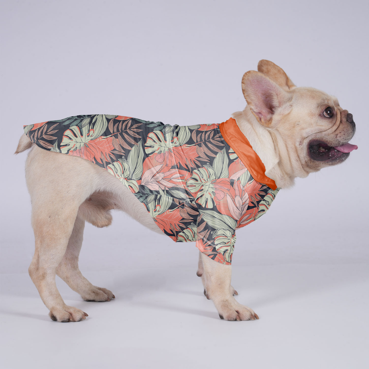 Stylish Apollo - Hawaiian Shirt For Frenchies for Everyday Wear