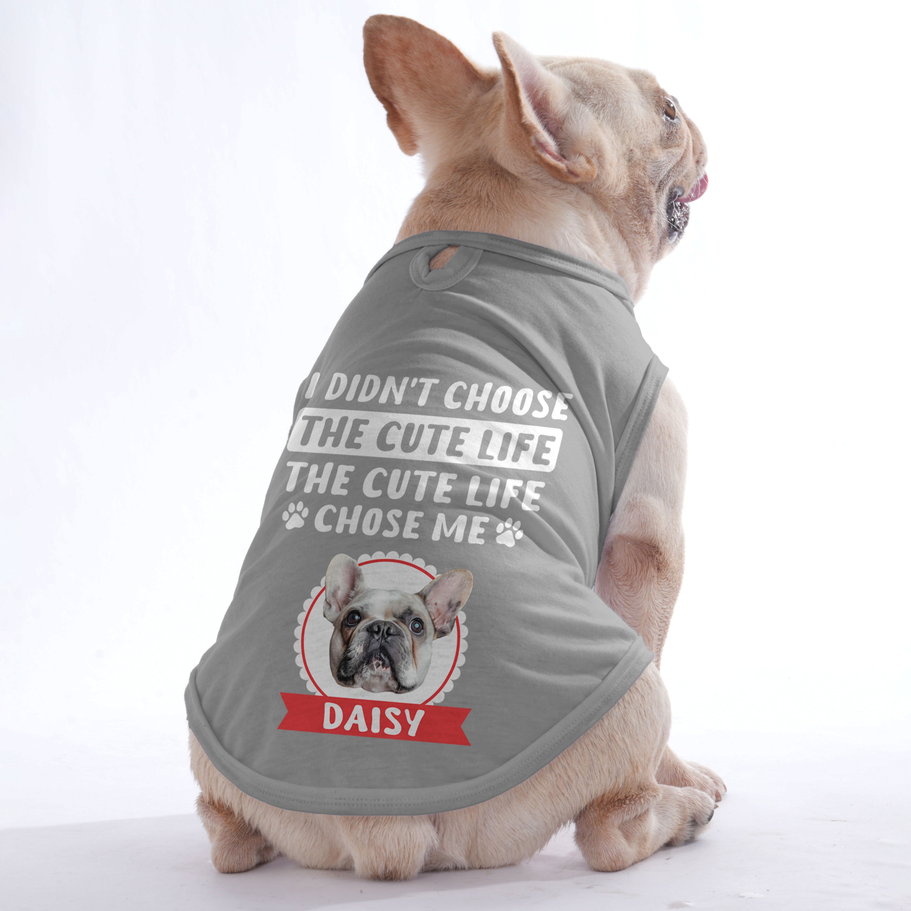 | Custom Dog T-shirt For French Bulldogs Outdoor Style | Stylish Look