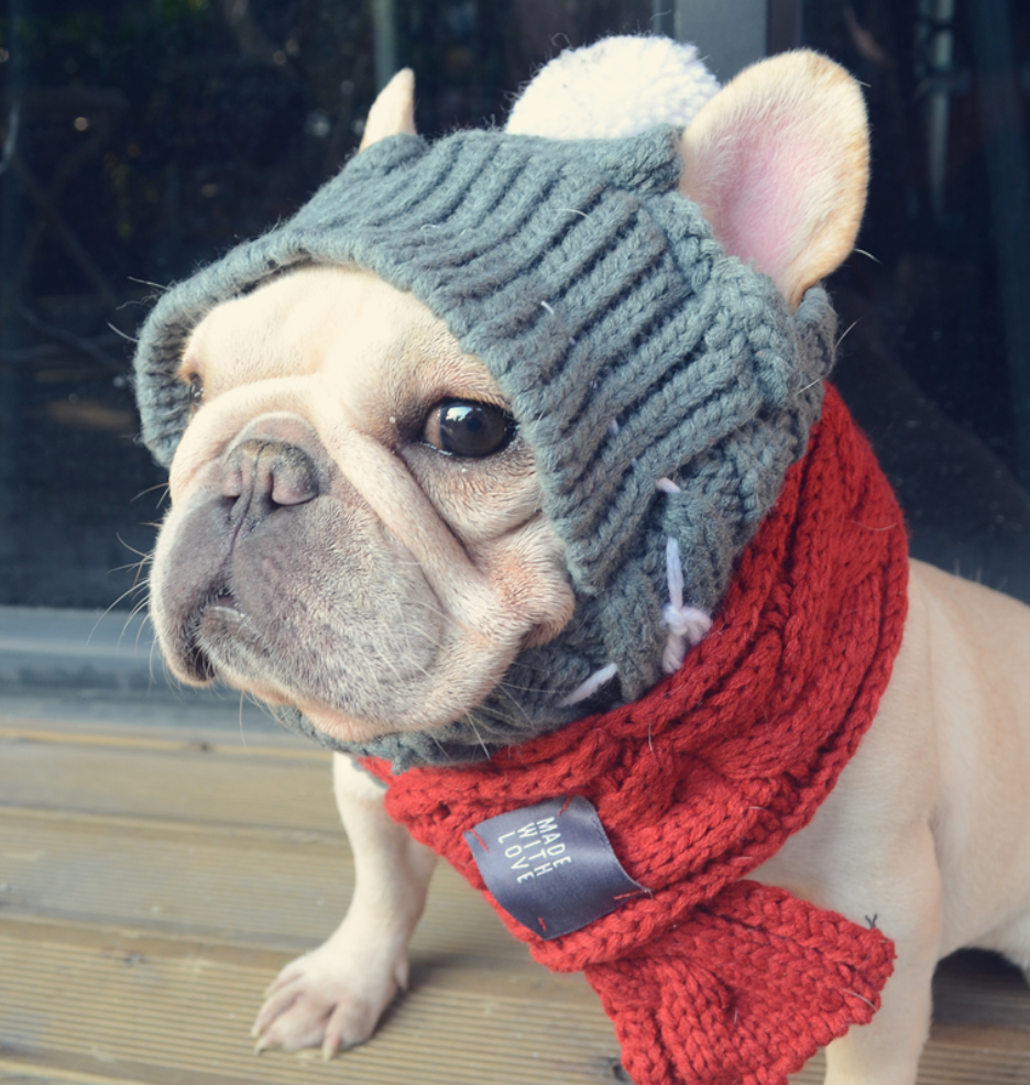 French Bulldog Winter Woolen Hat For French Bulldog Durable Dog Clothes