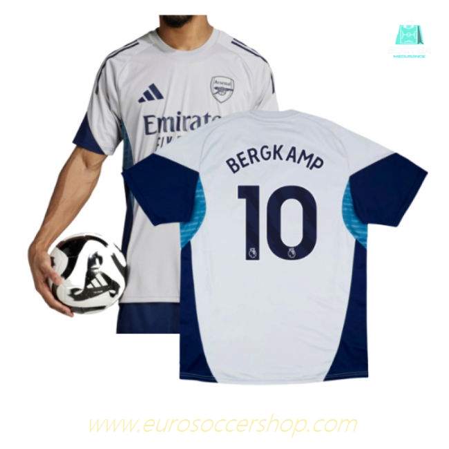 2025-2026 Arsenal Training Shirt (Grey Two) (Bergkamp 10)