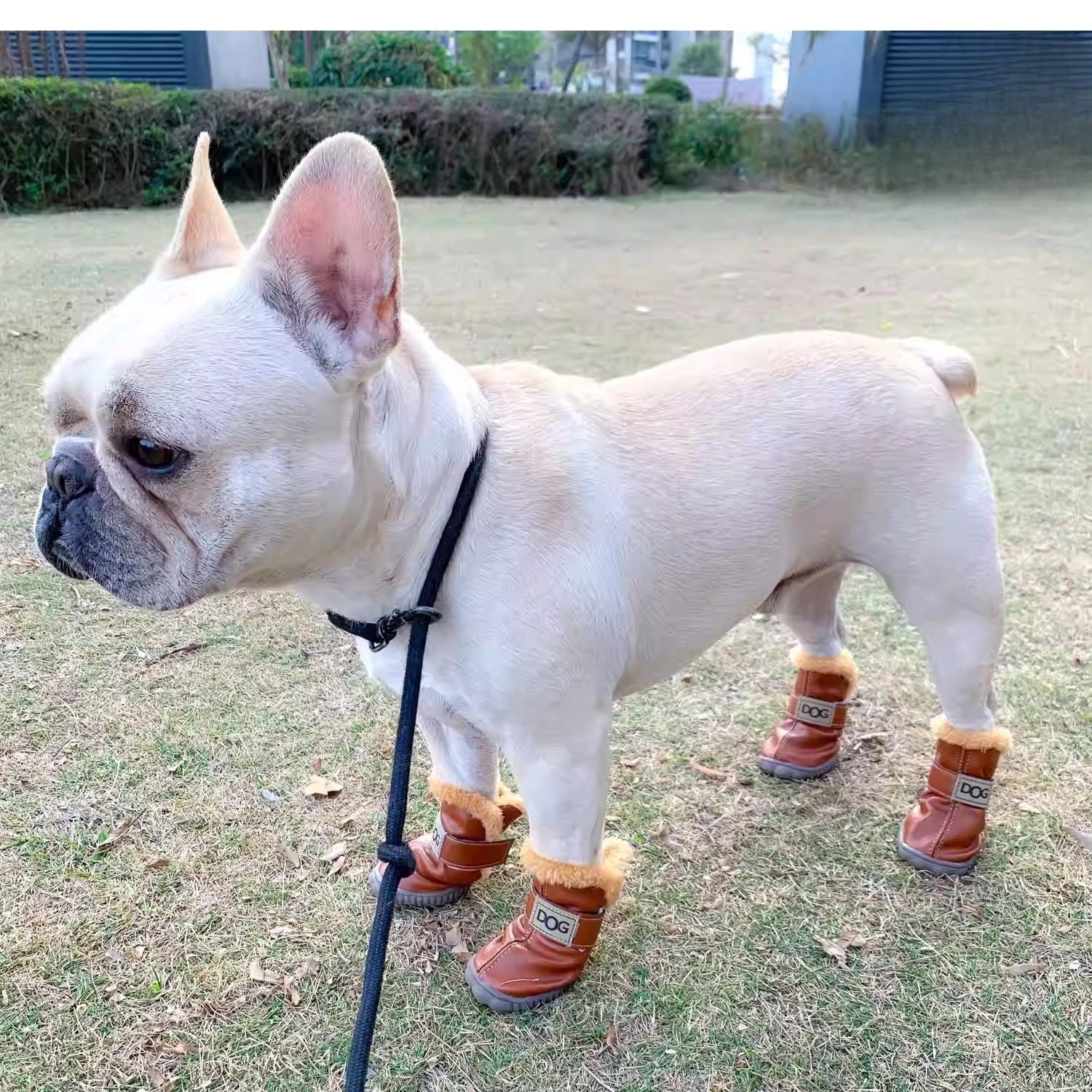Warm French Bulldog Shoes – Soft Durable And Non-slip Indoor Use