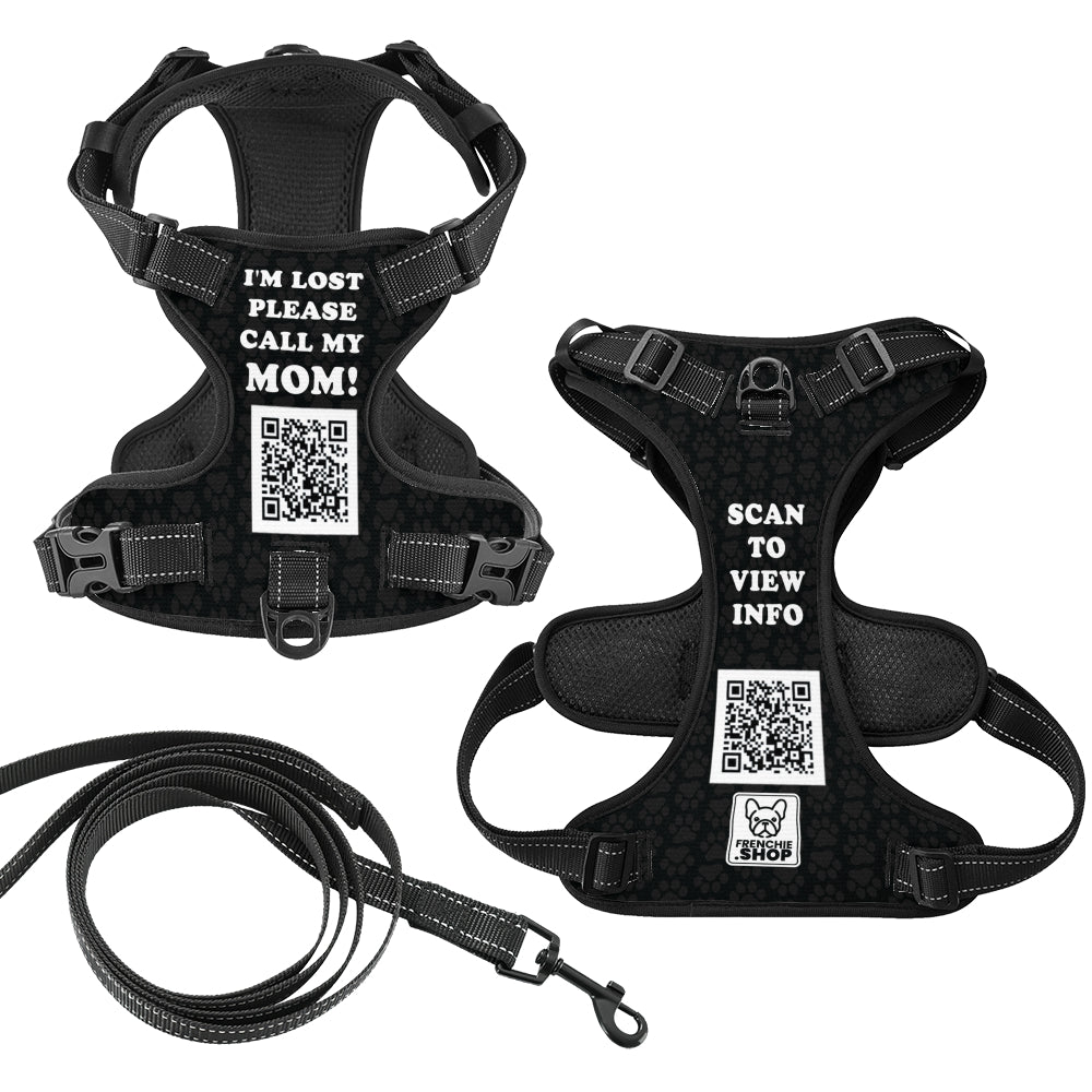 French Bulldog Gus Personalized No Pull French Bulldog Dog Harness Practical Dog Gear