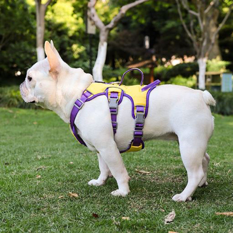 French Bulldog Premium No Pull Frenchie Harness: Reflective Chest Strap