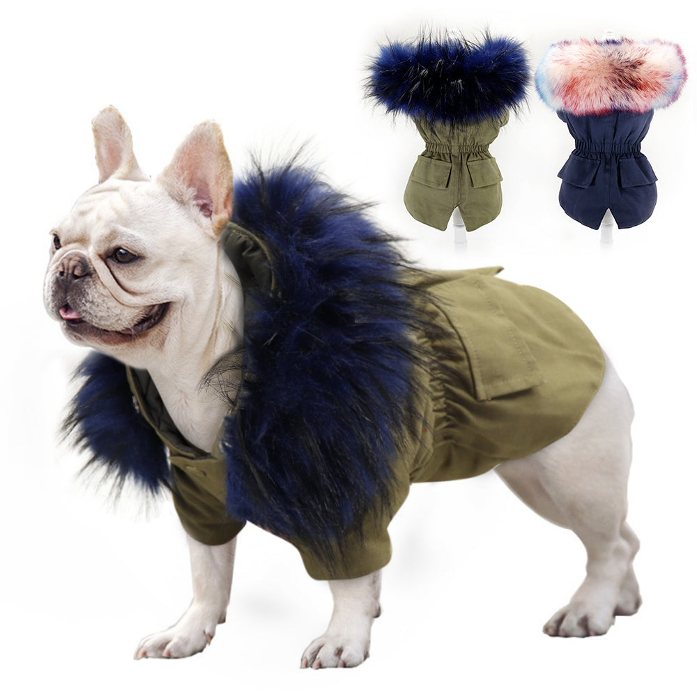 French Bulldog Pawmax Coat V2 French Bulldog Coat (ws46) Warm Dog Outfit