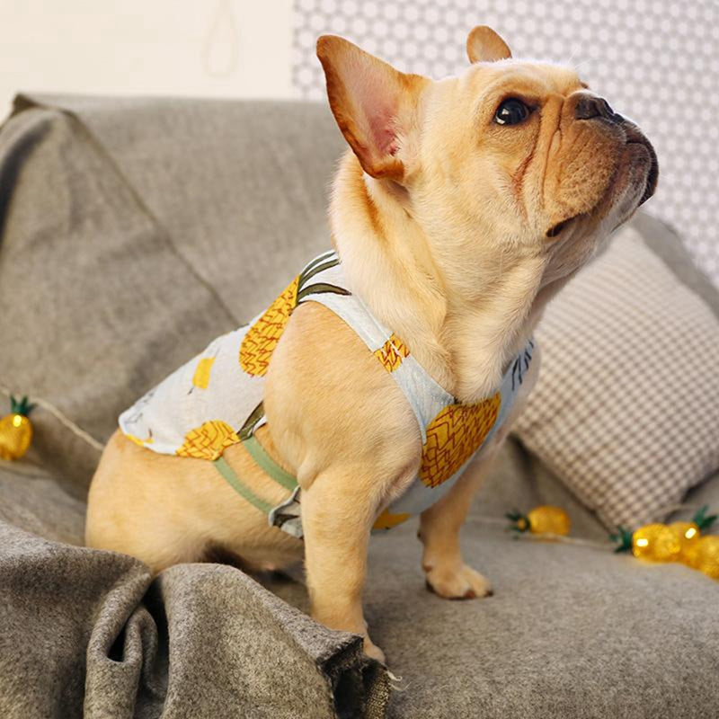 French Bulldog Summer Time Shirt (ws97) Comfy Pet Product