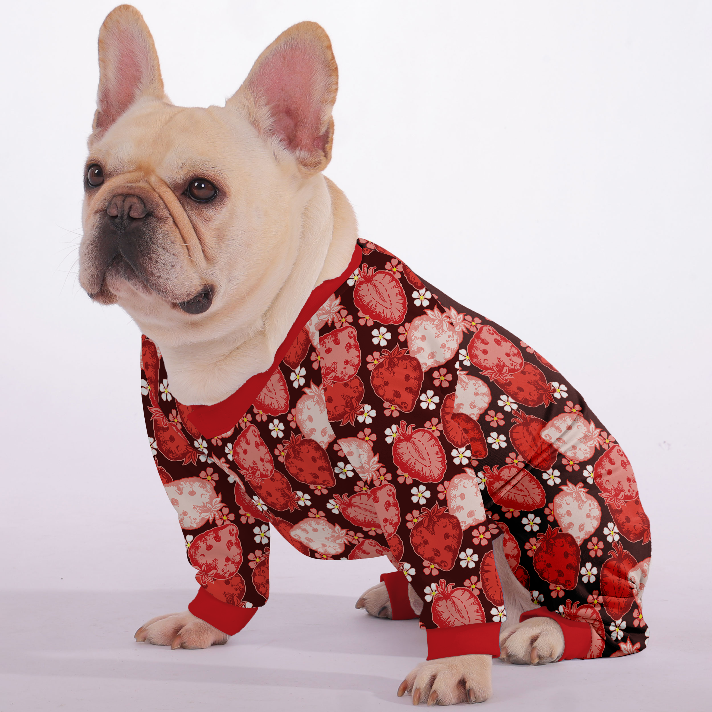 – Ultra-soft, Cozy, & Adorably Stylish Indoor Use | Non-slip Design