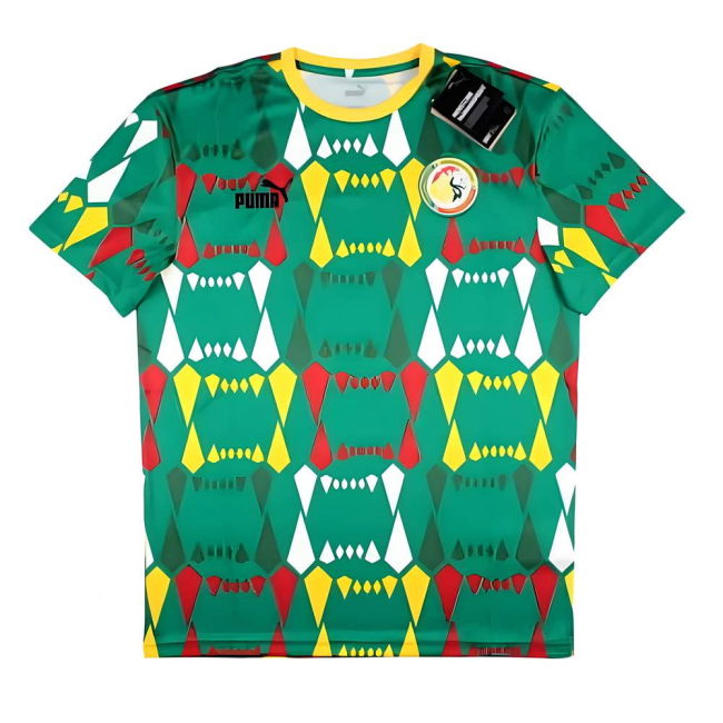 Senegal National Team Pro Level Home Elite Kit