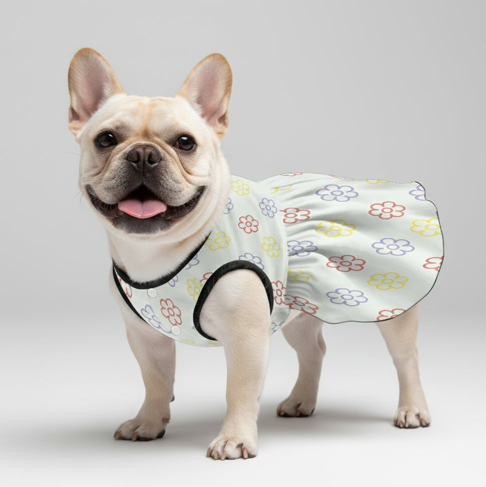 Akira - French Bulldog Dresses for Females