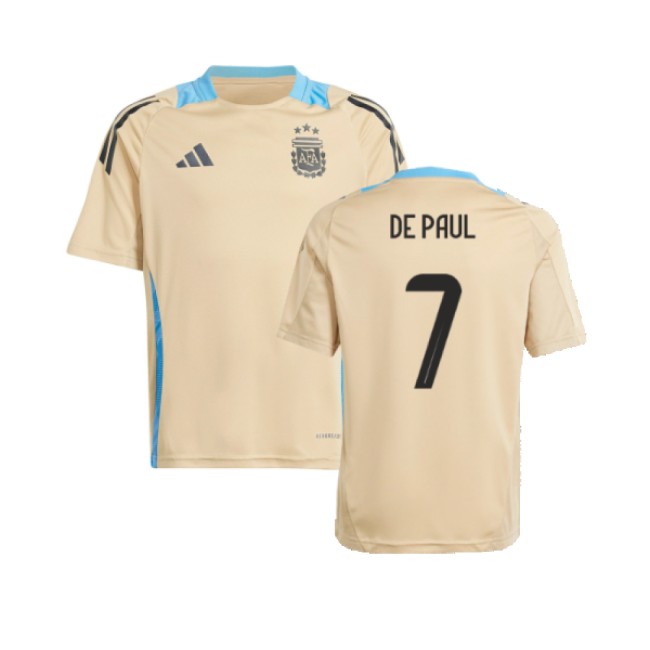 Argentina National Team Replica Jersey - Adults Version (DE PAUL 7)