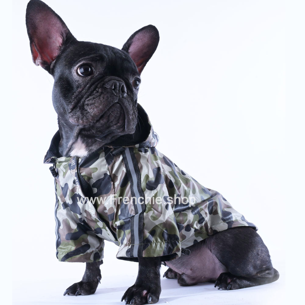 The Ultimate Winter Jacket For Frenchies (ws33) Pet Gear | Comfort Fit