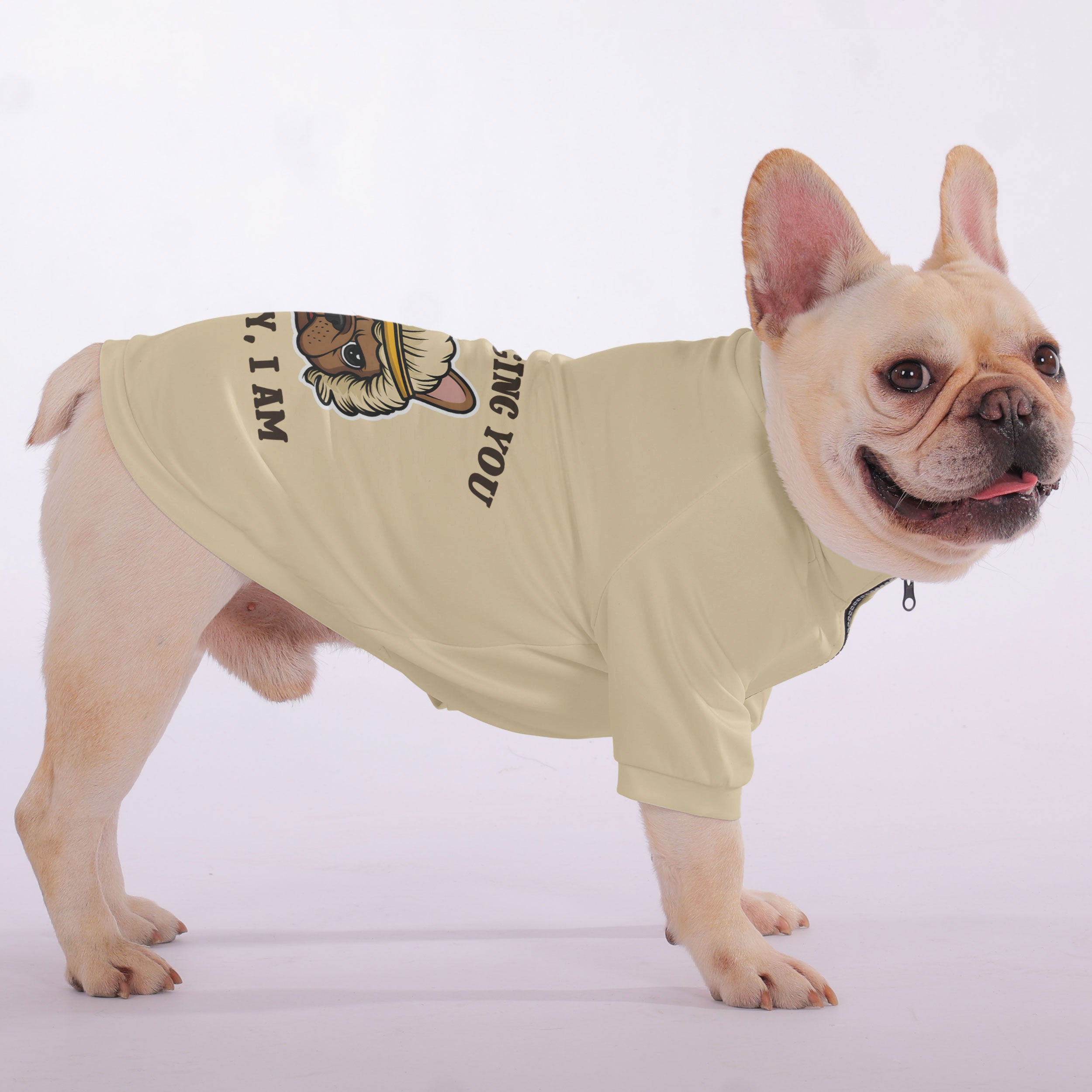 French Bulldog Not Judging You… Okay, I Am Snuggly Zip Up Sweatshirt