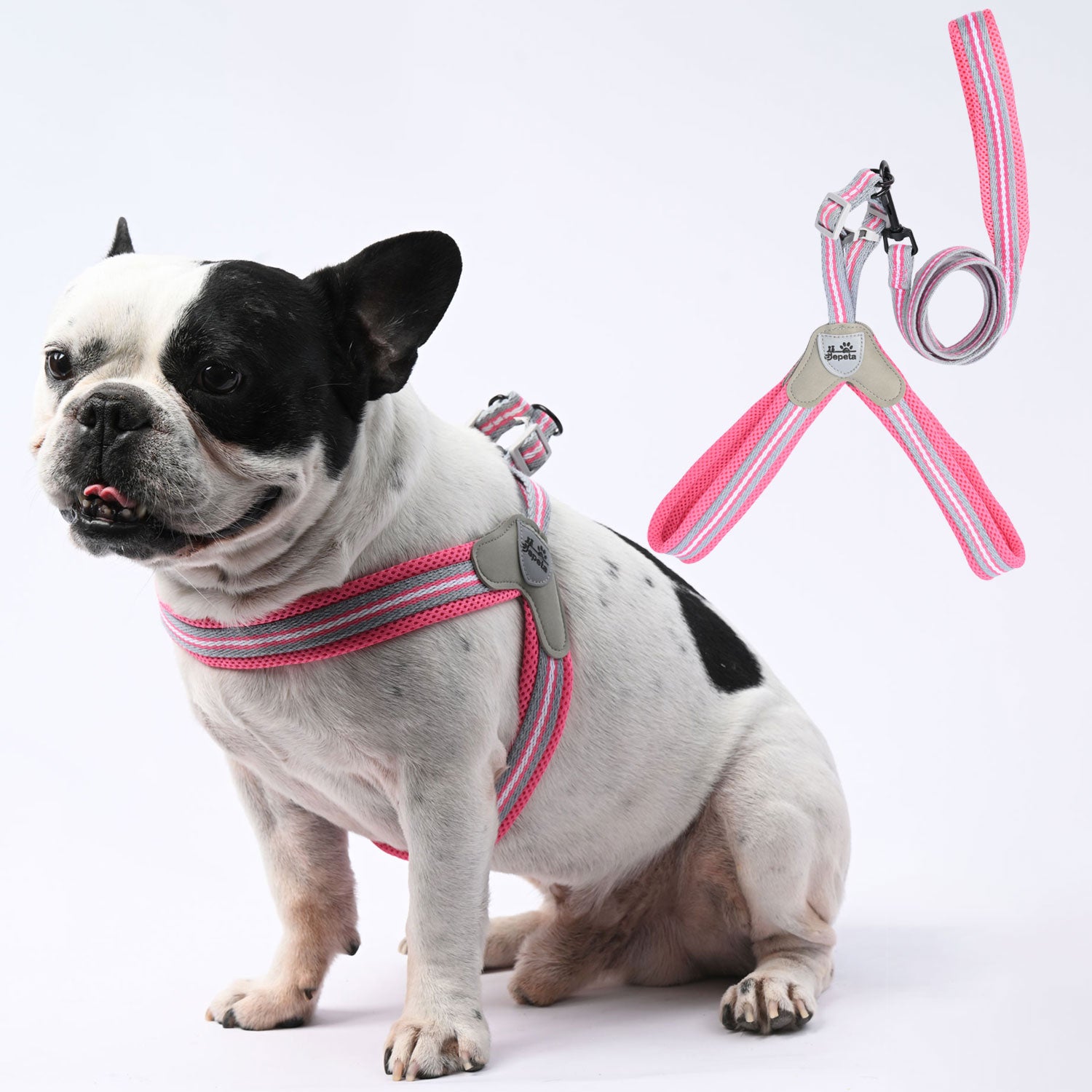 Durable Leashlock No-pull Frenchie Harness With Leash for Short-Nosed