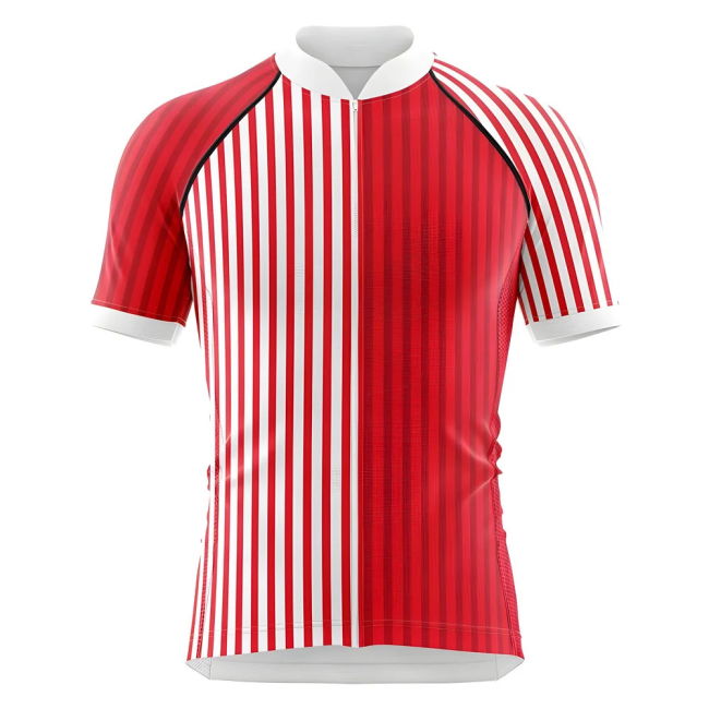 Denmark Improved Denmark Jersey