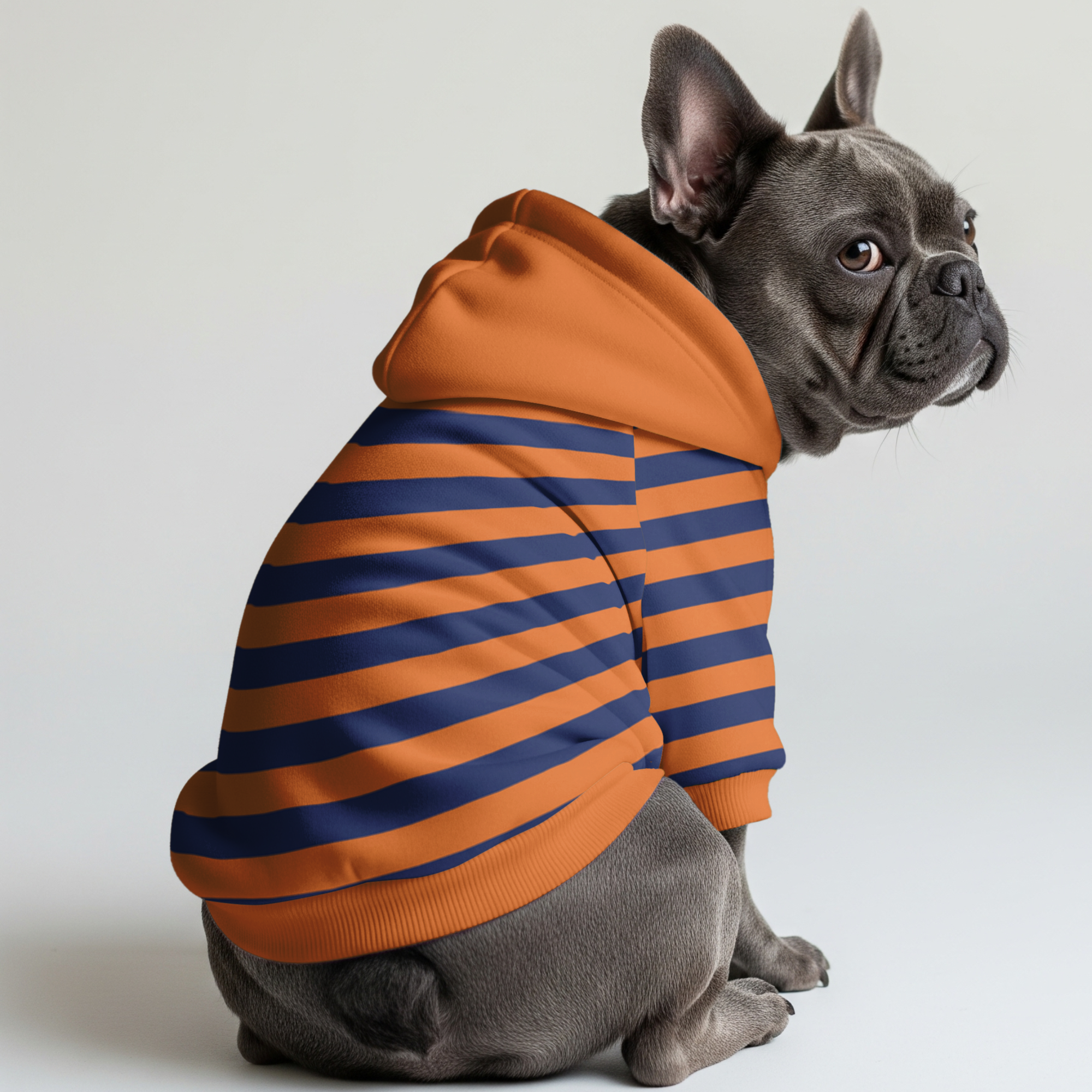 Stylish Trendy Jessie - Frenchie Hoodie for Everyday Wear Comfortable