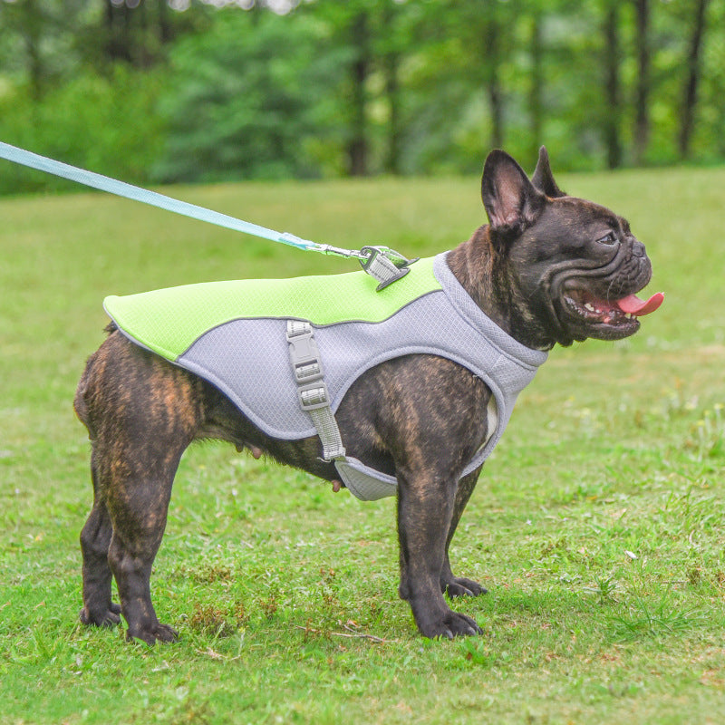 French Bulldog French Bulldog Summer Cooling Vest Heat Resistant