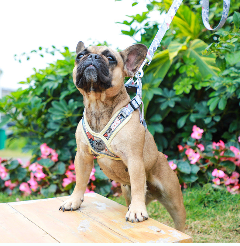 French Bulldog专属 Lucentlead Frenchie Adjustable Harness And Leash Set...