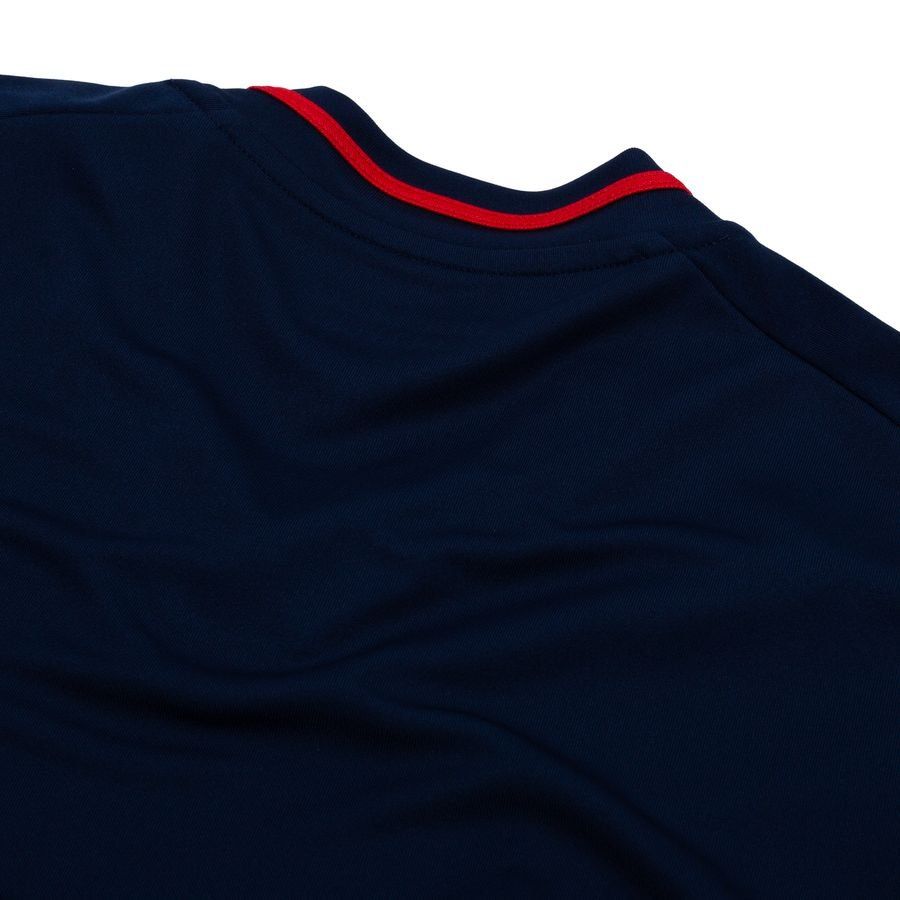 Lyon Away Shirt 2025/26 Supporter Version In Multiple Adult Sizes