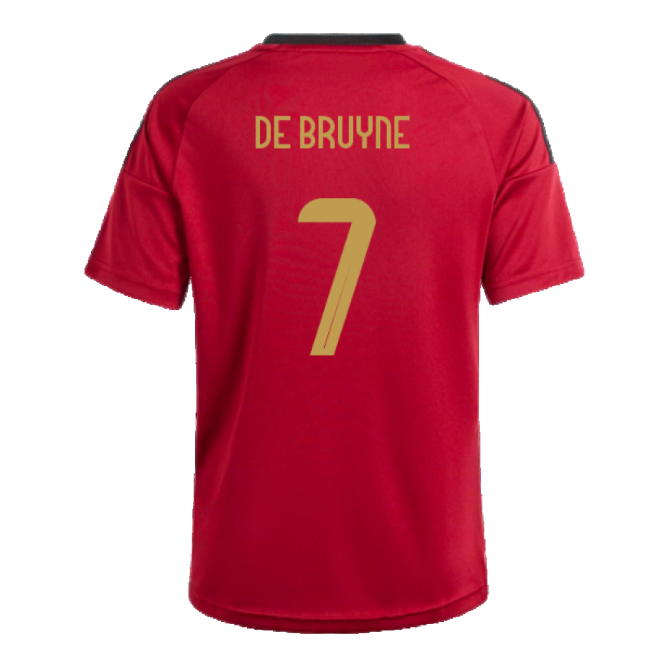 Authentic 2024-2025 Belgium Home Official Breathable Player