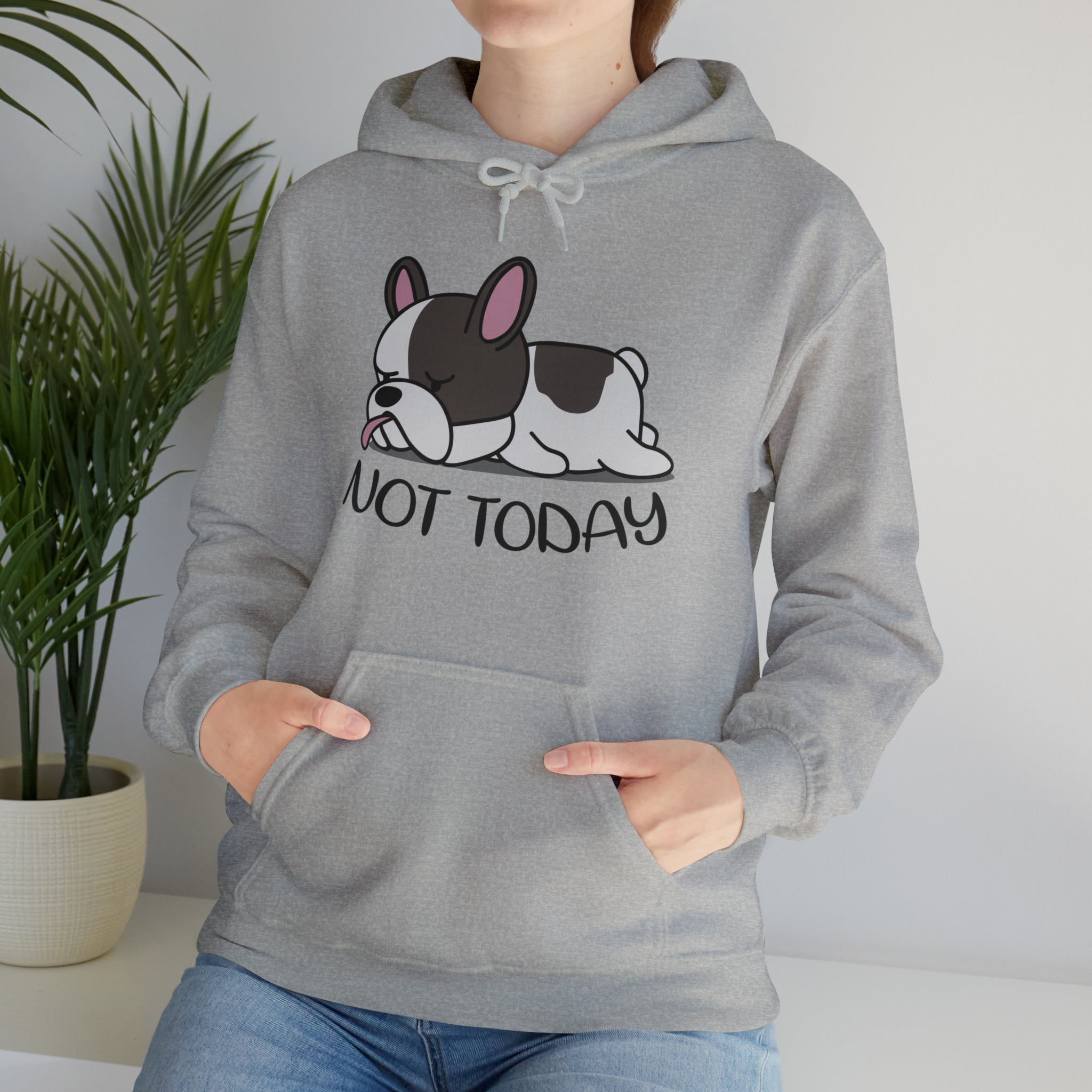Not Today - Stylish Unisex Hoodie For Frenchie Fans | Stylish Look