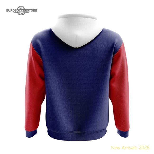 Premium France 2024-2025 Regular Jersey (fra) Ventilation