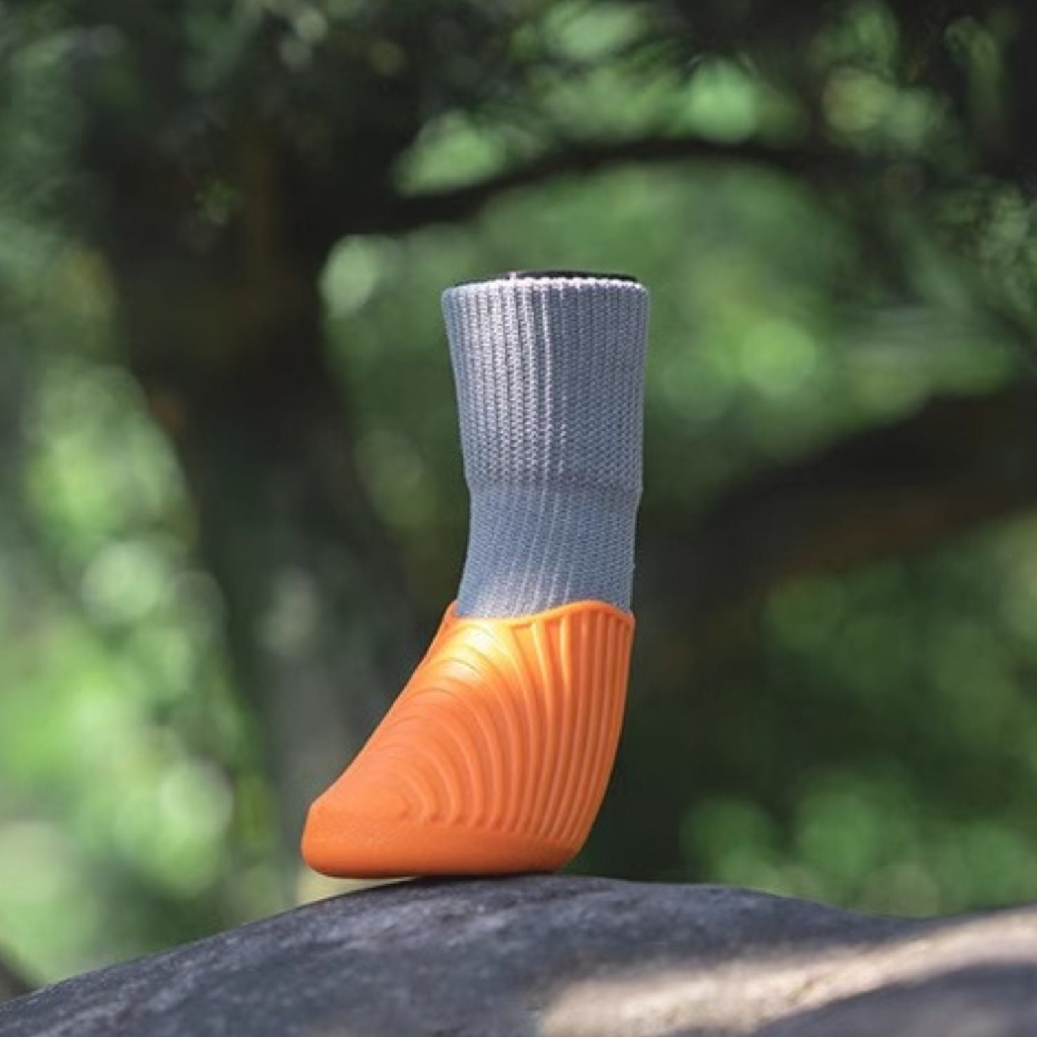 Boots – High-elastic Non-slip And Durable Design For French Bulldogs