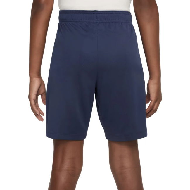 Supporter Grade PSG Training Replica Jersey (Kids)