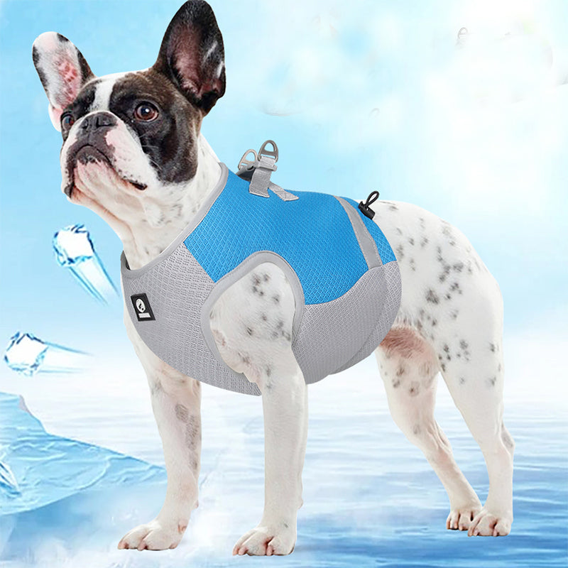 French Bulldog Frenchie Summer Reflective Cooling Vest Frenchie Pet Item