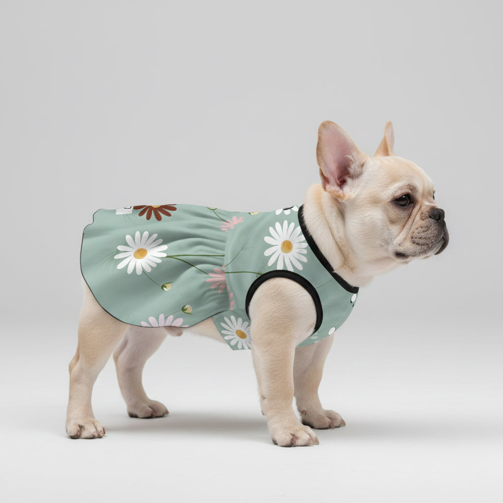 Autumn - French Bulldog Dresses for Females