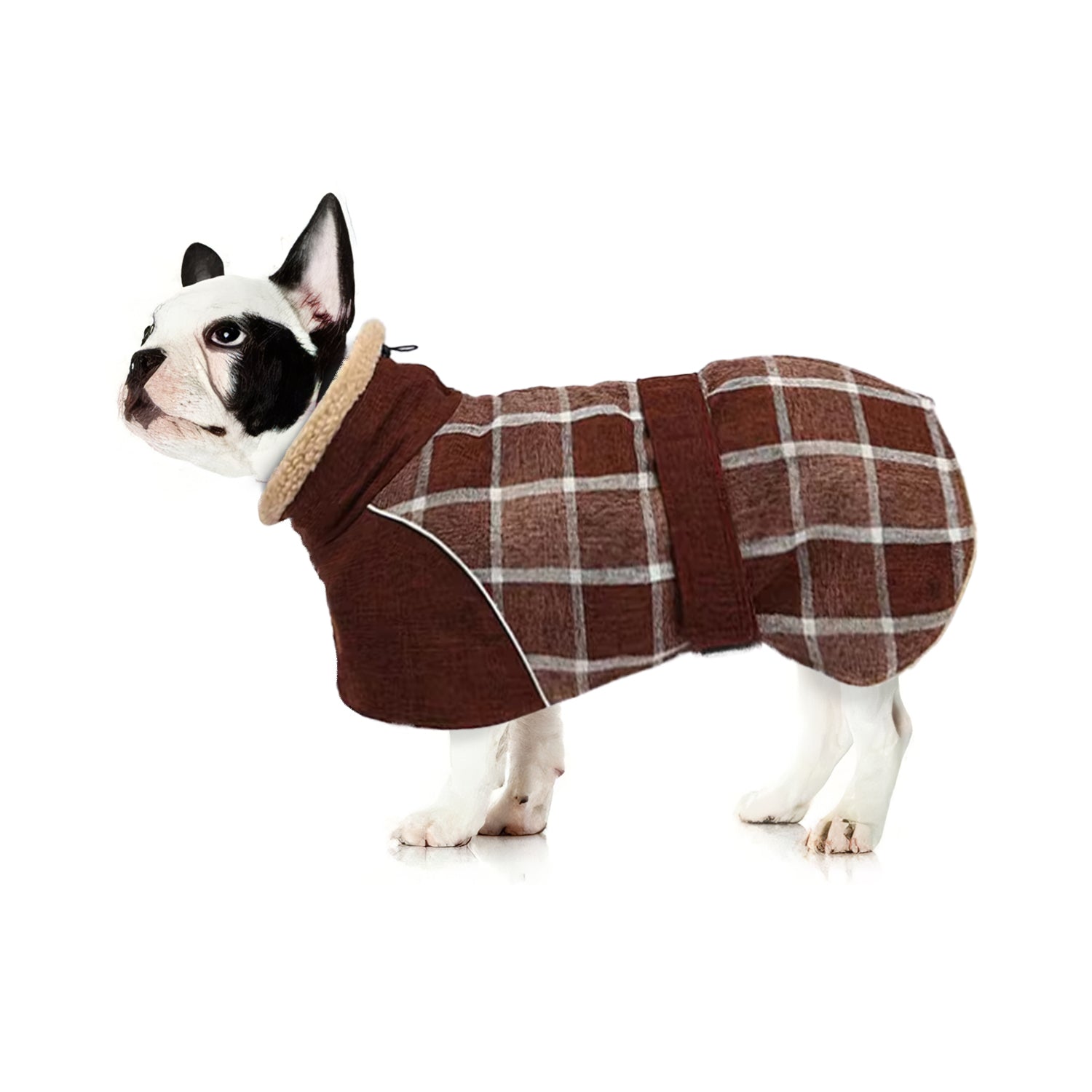 Everyday Pupshield Frenchie Winter Coat Thick Reflective And Windproo...