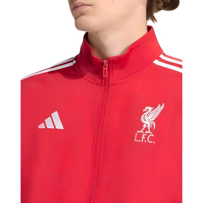Liverpool Club Team Supporter Kit - Adults Version (2)