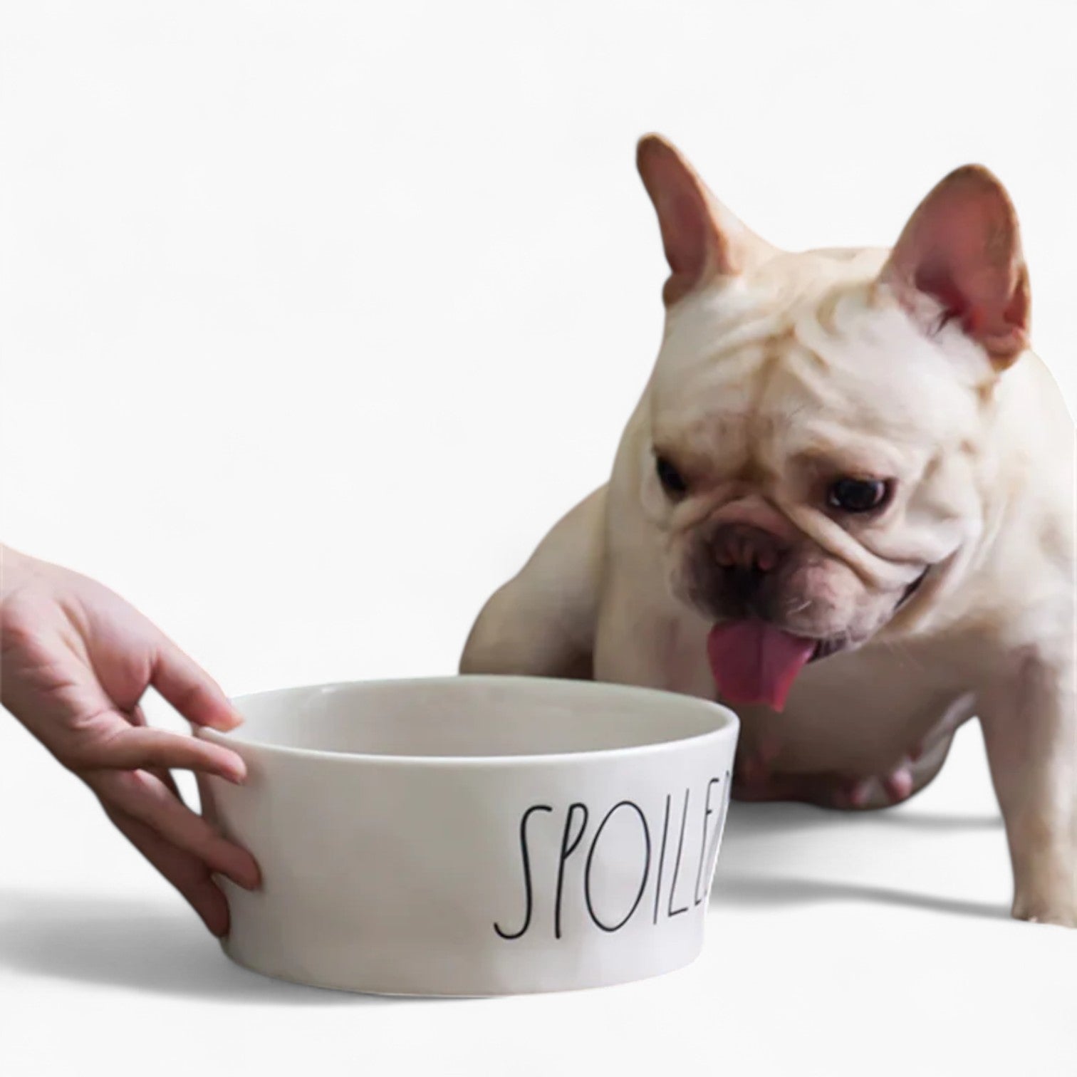 French Bulldog Bowlzy French Bulldog Spoiled Bowl – Non Slip Cartoon