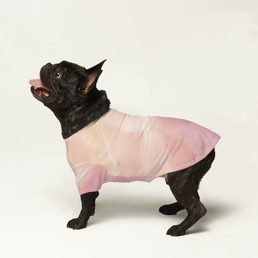 Kai - Wool Sweater for Frenchies