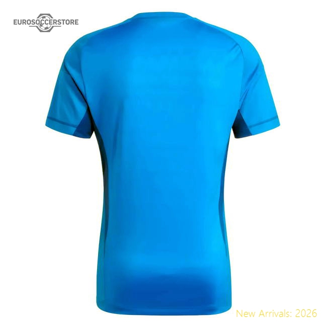 Fan-Favorite 2023-2024 Juventus Home Goalkeeper Shirt (Blue)