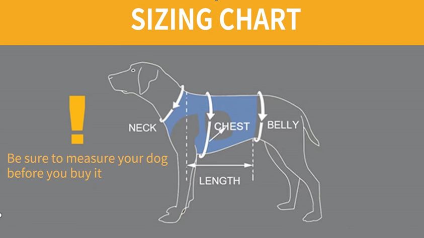 French Bulldog Pawlift Frenchie Full Body Lift Harness – Injury And Hip