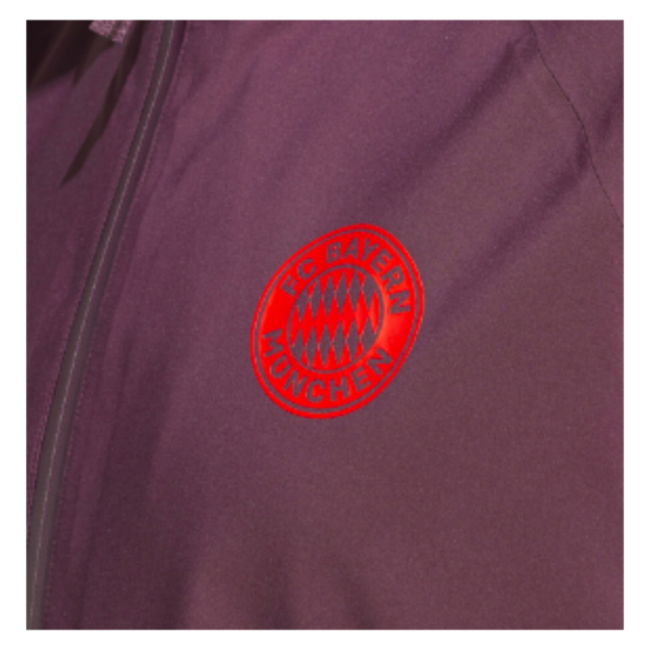 Bayern Munich Performance Jersey 2024-2025 #18