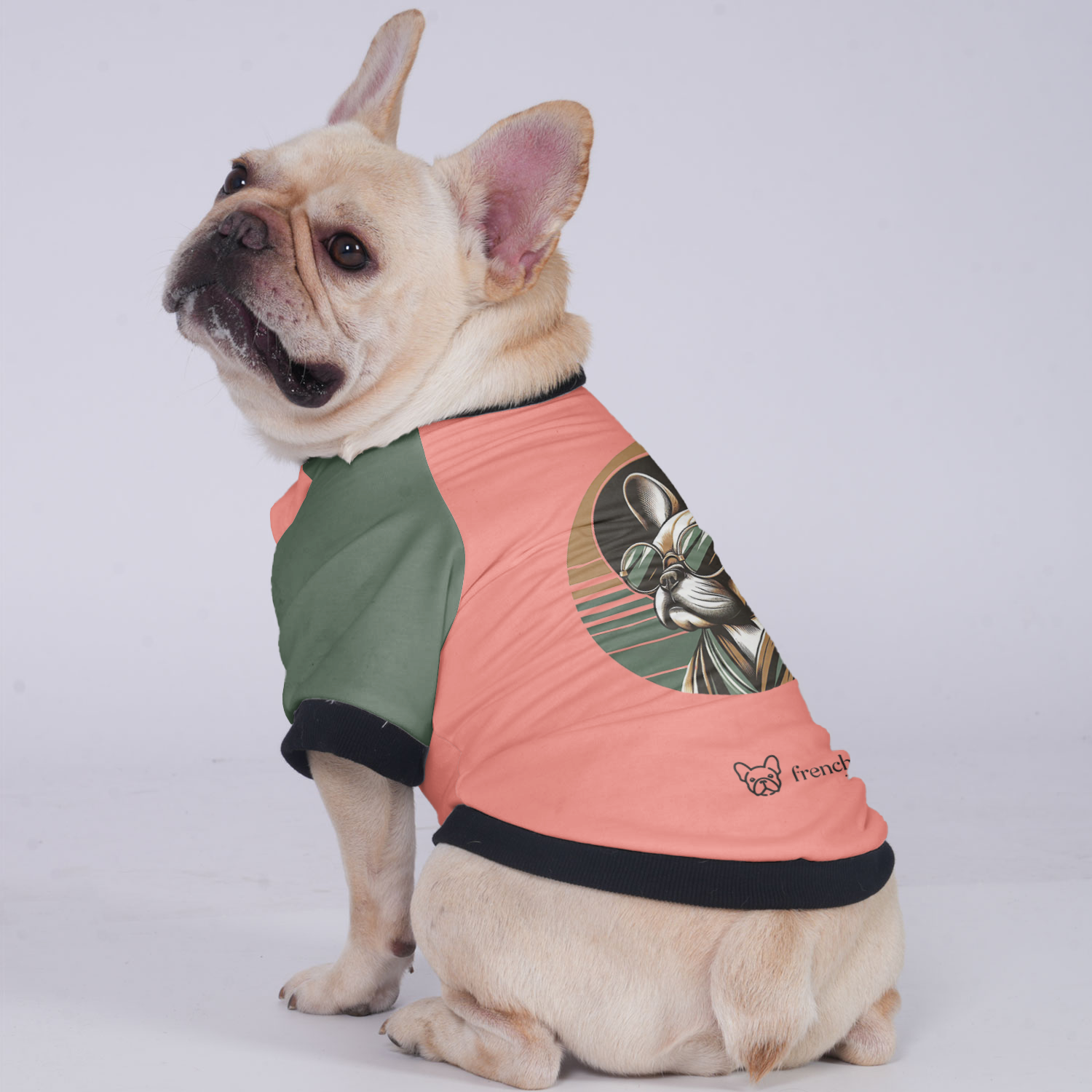 Premium Durable Lucy - Jacket For French Bulldog for Home Use Stylish