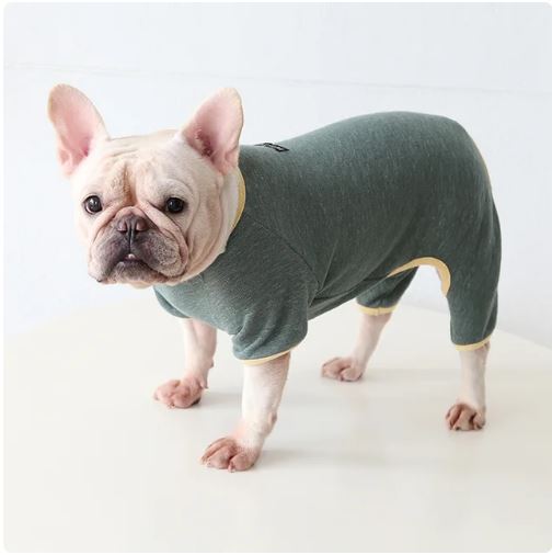 Winter Sweater Soft Jumpsuit Pet Owner Apparel | Premium Quality
