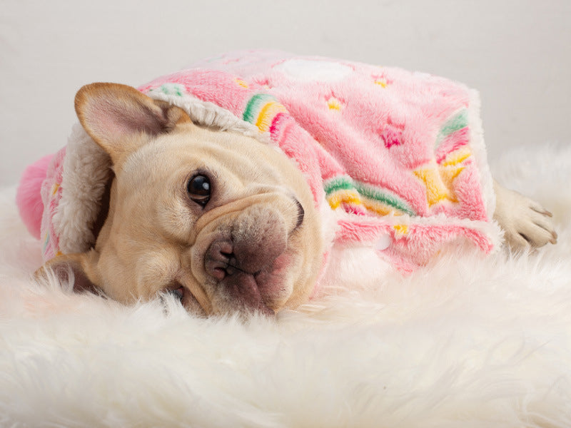 Coat Scarf In Soft Welsh Blanket Wool For Frenchie Pups | Comfort Fit