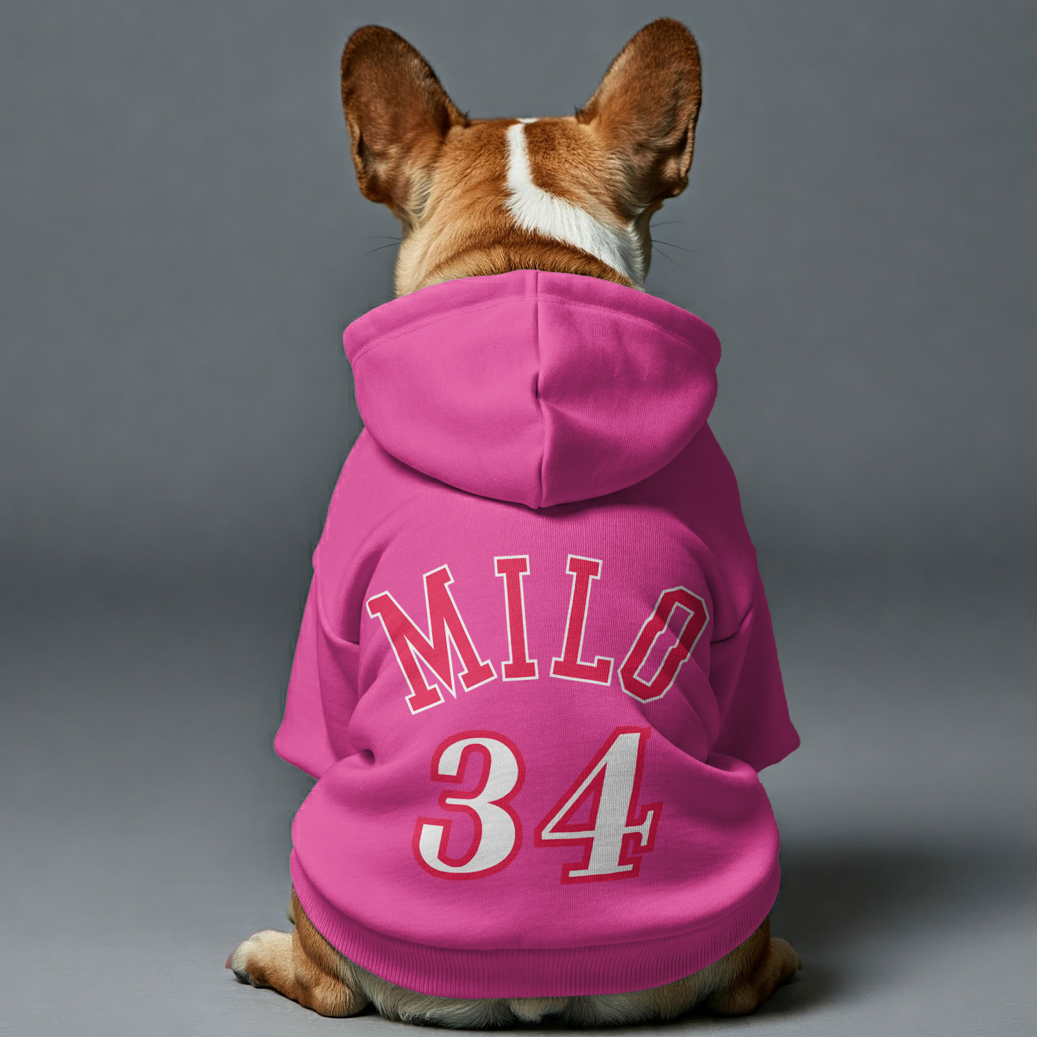 Trendy Personalized French Bulldog Hoodies With Custom Name And Numbe...