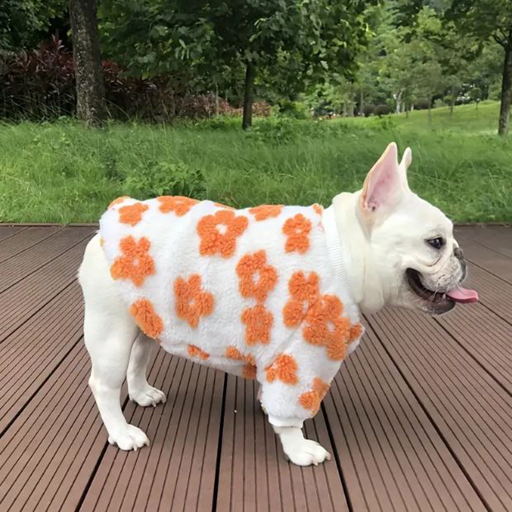 - Premium Flower Bloom Frenchie Sweater Stylish Pet Apparel Casual Wear