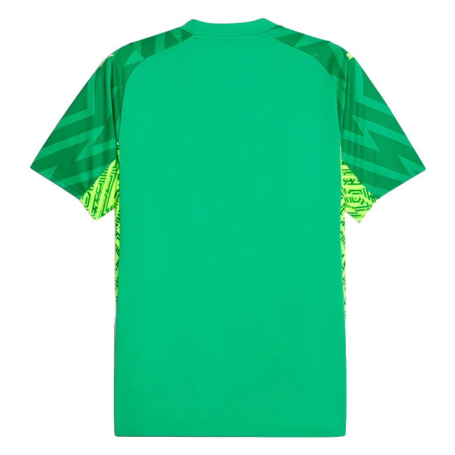 Performance Classic Jersey 2023-2024 Home Quick-Dry - Green Adult#675