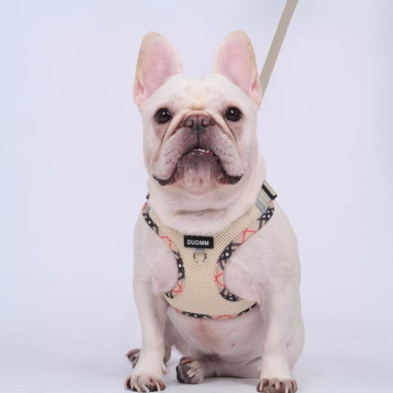 Comfort-Optimized Stridez Heavy-duty No Pull Frenchie Explosion-proof...