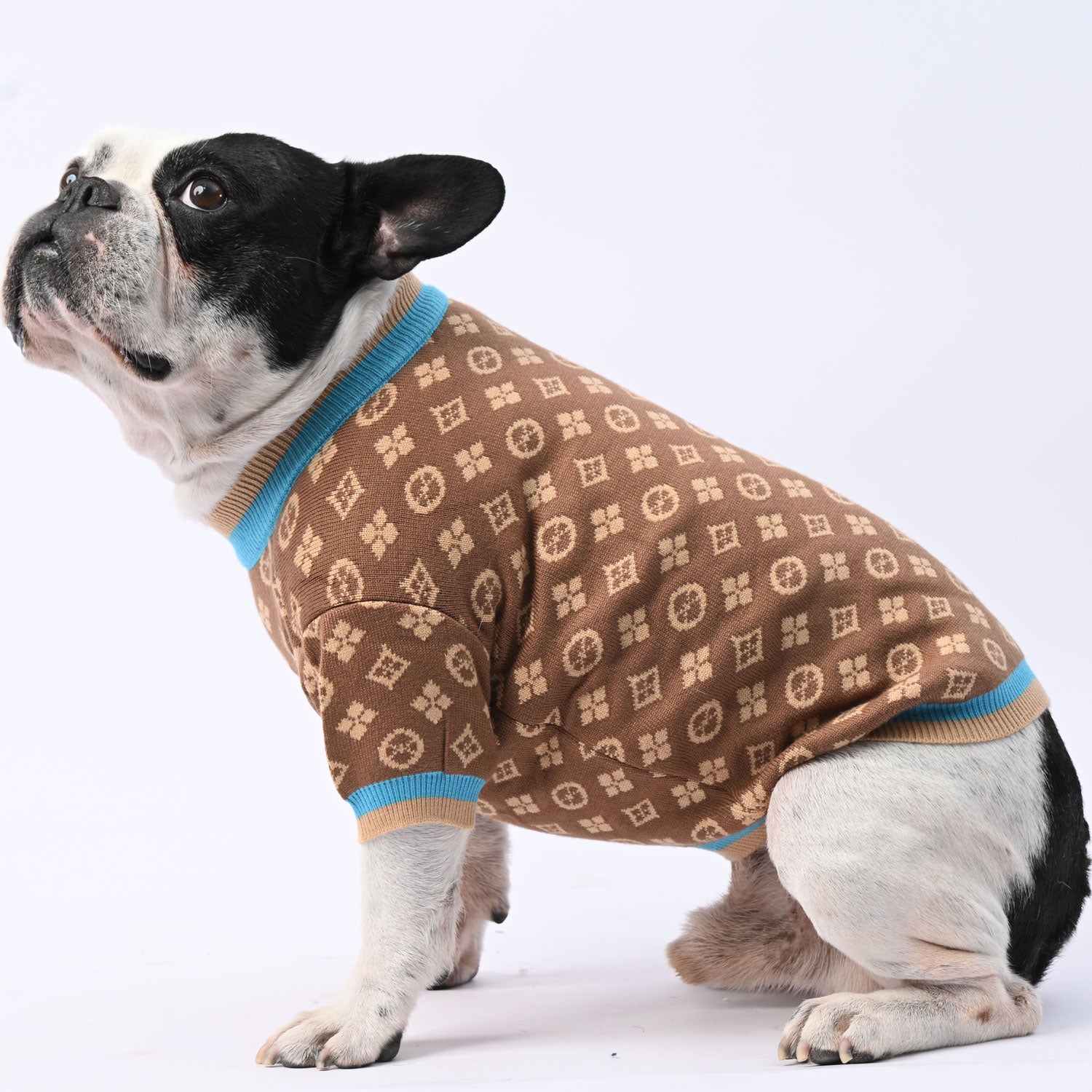 - Everyday Frenchie Winter Sweater With Cute Design Outdoor Style