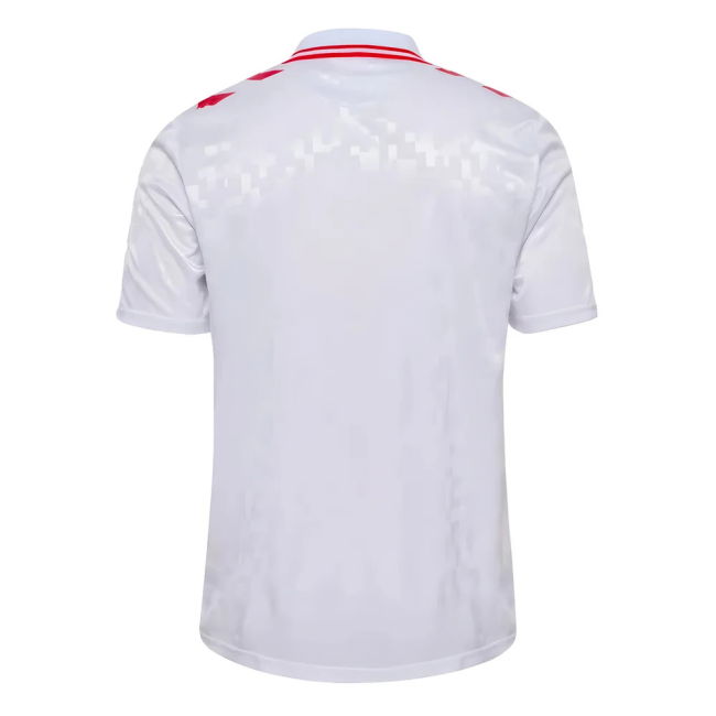 Match Worn Style Denmark Away Professional Jersey 2024-2025