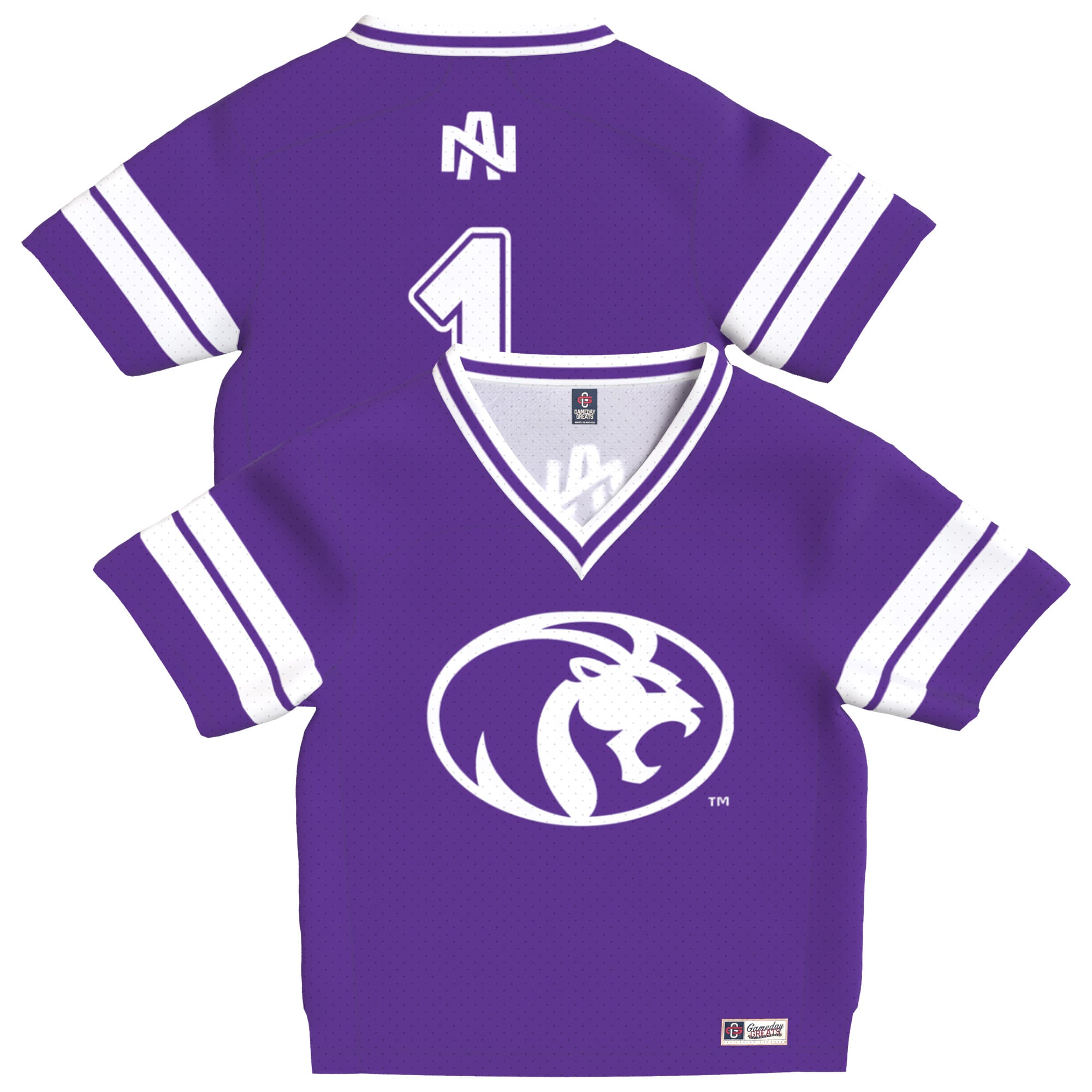 Infant Purple North Alabama Lions Lightweight Collegiate Football Fashion Jersey