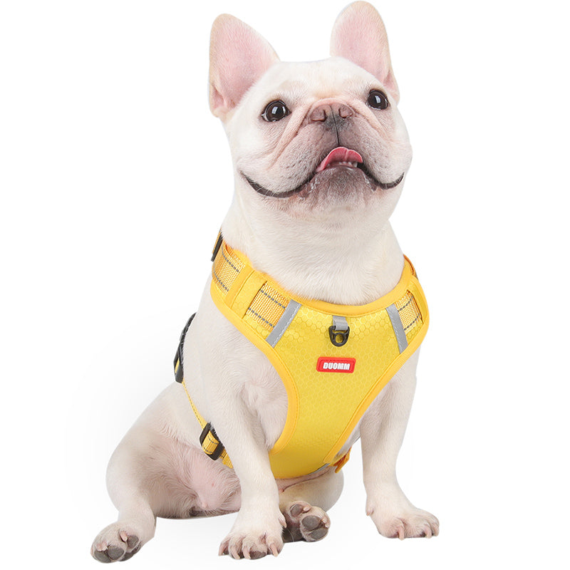 Reflective Lead Straps (ws 0723) For Frenchie Pups | Non-slip Design