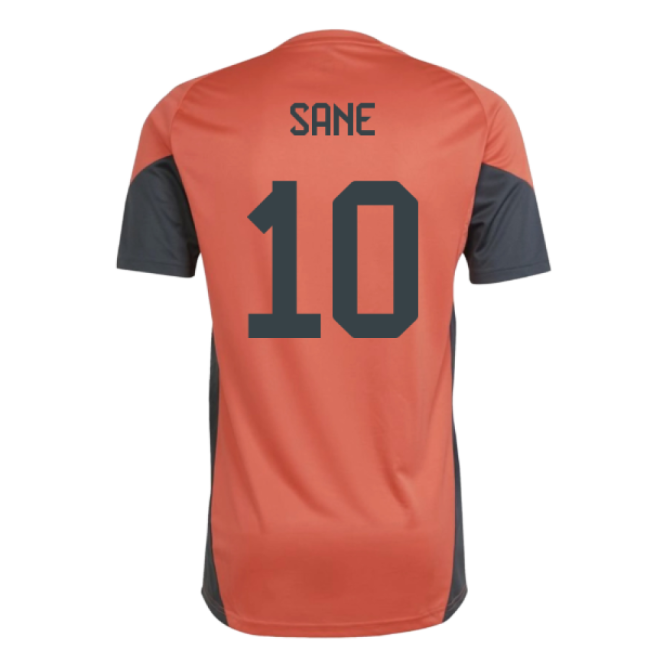 Sane 10 Rare Bayern Munich Training Unique Shirt 2025-2026